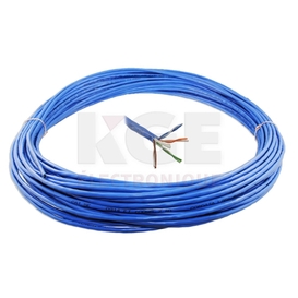 Blue 100ft CAT-5E network wire