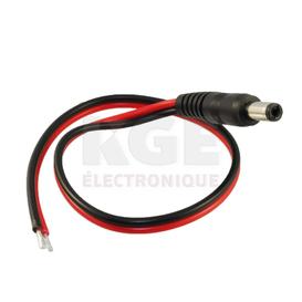 2.1mm DC male with 12