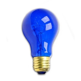 A19 60W Transparent Blue Bulb