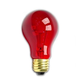 A19 60W Transparent Red Bulb