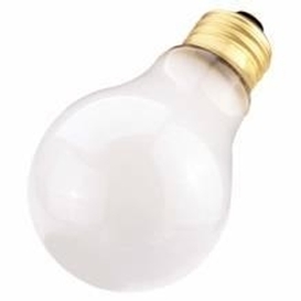 2-Pack A19 40W Frosted Bulbs