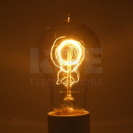 E26 A19 Quad. Incandescent Bulb