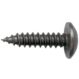 10-Pack Black #10 Wood Screws