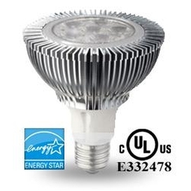 Warm White 6 LED Par30 Light Bulb
